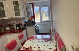 Cladire cu 3 apartamente in Bucium la 100 m de Family Market