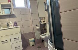 Cladire cu 3 apartamente in Bucium la 100 m de Family Market