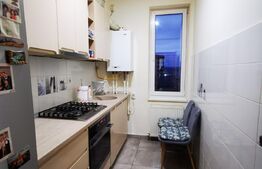 Apartament de 2 camere, 45mp, Valea Lupului