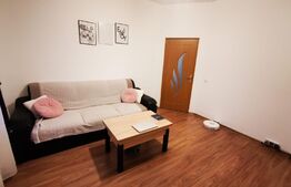 Apartament de 2 camere, 45mp, Valea Lupului