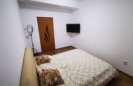 Apartament de 2 camere, 45mp, Valea Lupului