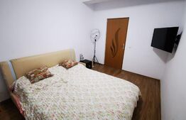 Apartament de 2 camere, 45mp, Valea Lupului