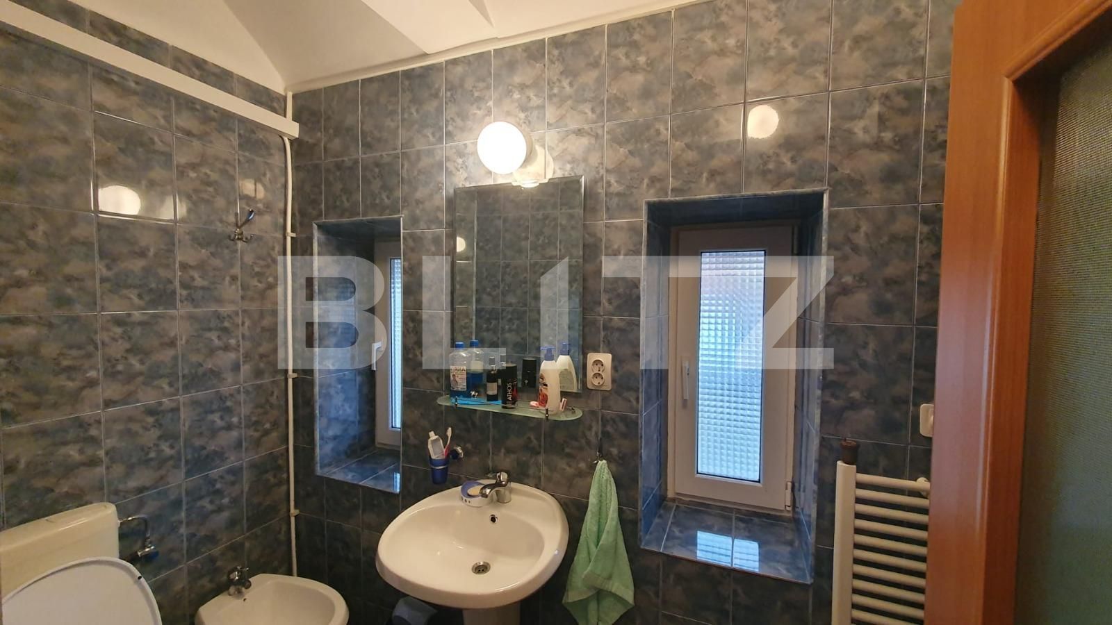Casa de vânzare 4 camere Cantemir - 106482CV | BLITZ Iași | Poza13
