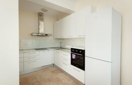 Penthouse 3 camere,2 bai, 95mp utili, 71mp terasa, lux, Exclusive Copou