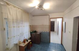 Casa 4 camere, 250 mp teren, strada asfaltata, Lunca Cetatuii
