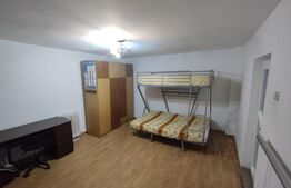 Casa 4 camere, 250 mp teren, strada asfaltata, Lunca Cetatuii