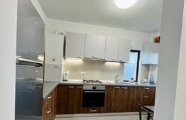 Duplex, 116 mp, teren cu 216 mp, Breazu