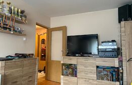 Apartament de 2 camere, decomandat, zona Alexandru