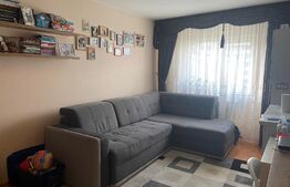 Apartament de 2 camere, decomandat, zona Alexandru