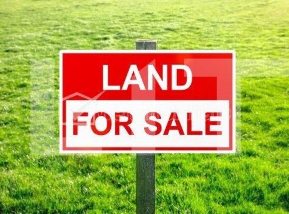 Teren de vânzare Valea Ursului - 106865TV | BLITZ Iași | Poza1