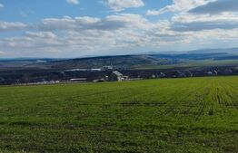 Teren intravilan, 2000 mp, Letcani