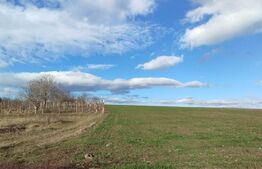 Teren intravilan, 2000 mp, Letcani