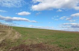 Teren intravilan, 2000 mp, Letcani