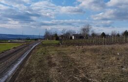 Teren intravilan, 2000 mp, Letcani