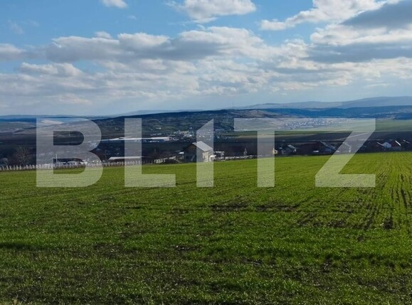 Teren de vânzare Exterior Vest - 106937TV | BLITZ Iași | Poza4