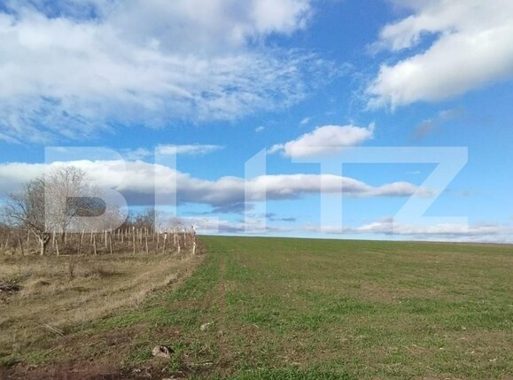 Teren de vânzare Exterior Vest - 106937TV | BLITZ Iași | Poza2