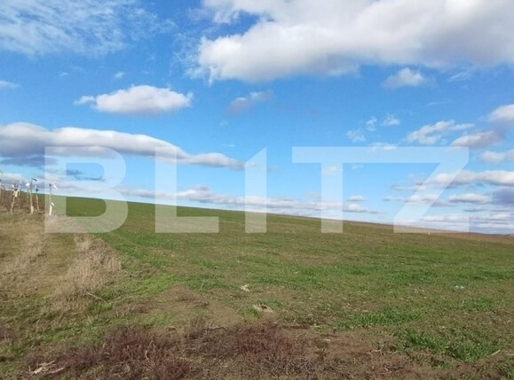 Teren de vânzare Exterior Vest - 106937TV | BLITZ Iași | Poza3