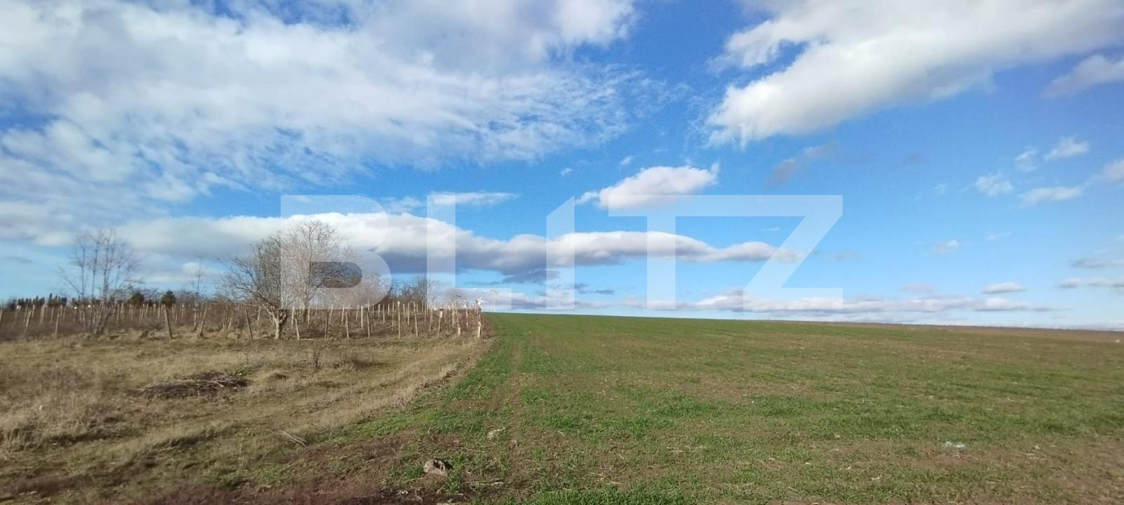 Teren de vânzare Exterior Vest - 106937TV | BLITZ Iași | Poza2