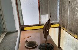 Apartament de 3 camere, 67 mp, decomandat, Dacia