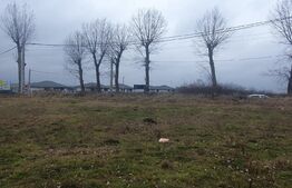 Teren intravilan Vorovesti 15000mp, D+P+1+2