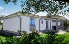 Casa plan parter, 82 mp, 430 mp teren, Vorovesti