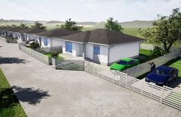 Casa plan parter, 82 mp, 430 mp teren, Vorovesti