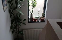 Casa 4 camere, de 120 mp, 288 mp teren, Valea Adanca