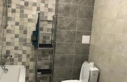 Cladire stil irlandez,300 mp utili, Letcani, la strada