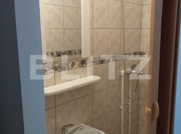 Garsonieră de vânzare Frumoasa - 107311AV | BLITZ Iași | Poza5