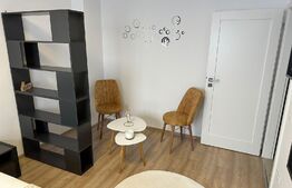 Apartament cu o camera, decomandat, 41mp, zona Centrala