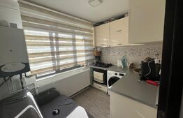 Apartament de 1 camera, parter zona Frumoasa