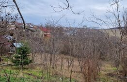 Teren Intravilan Breazu 2686 mp