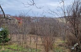 Teren Intravilan Breazu 2686 mp