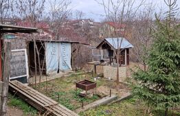 Teren Intravilan Breazu 2686 mp