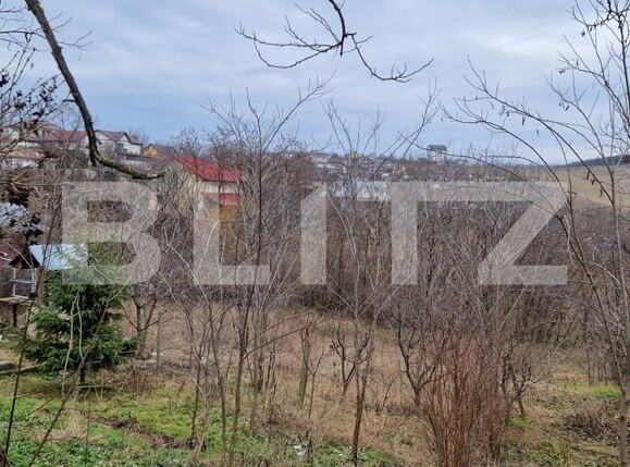 Teren de vânzare Breazu - 107926TV | BLITZ Iași | Poza3