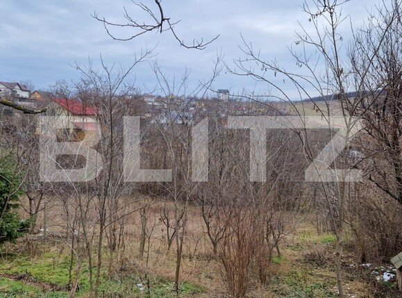 Teren de vânzare Breazu - 107926TV | BLITZ Iași | Poza4