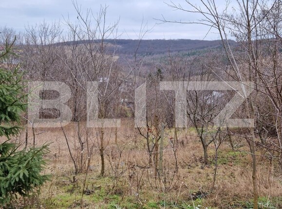 Teren de vânzare Breazu - 107926TV | BLITZ Iași | Poza2