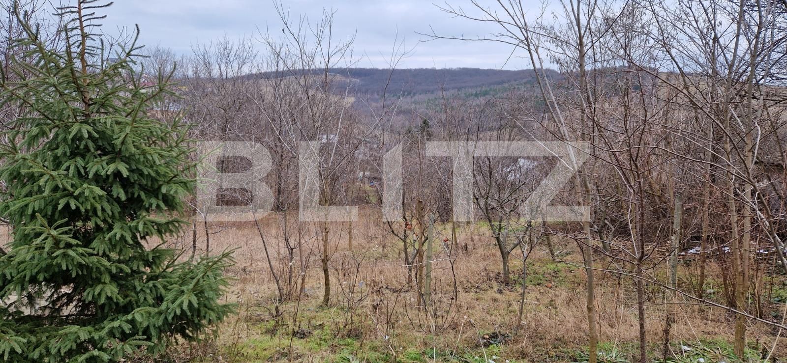 Teren de vânzare Breazu - 107926TV | BLITZ Iași | Poza2