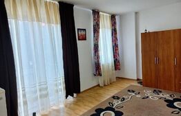 Apartament de 1 camera, 33mp, zona Pacurari