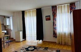 Apartament de 1 camera, 33mp, zona Pacurari