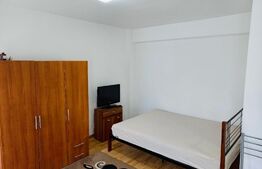 Apartament de 1 camera, 33mp, zona Pacurari