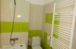 Apartament de 1 camera, 33mp, zona Pacurari