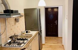 Apartament de 1 camera, 40mp, zona Pacurari