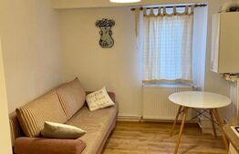 Apartament de 1 camera, 40mp, zona Pacurari