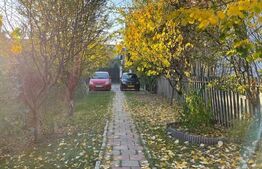 Casa 4 camere, 140mp, zona Popas Pacurari