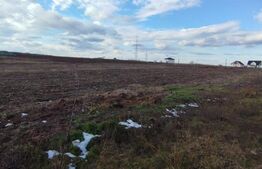 Teren 4500 mp, Miroslava, strada principala