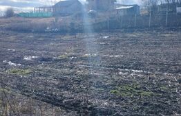 Teren 4500 mp, Miroslava, strada principala