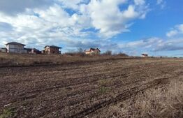 Teren 4500 mp, Miroslava, strada principala