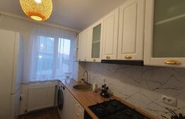 Apartament recent renovat, 2 camere 43mp, P-ta Unirii