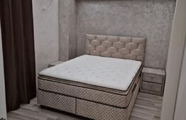 Apartament de 1 camera, 40mp, zona Metalurgie